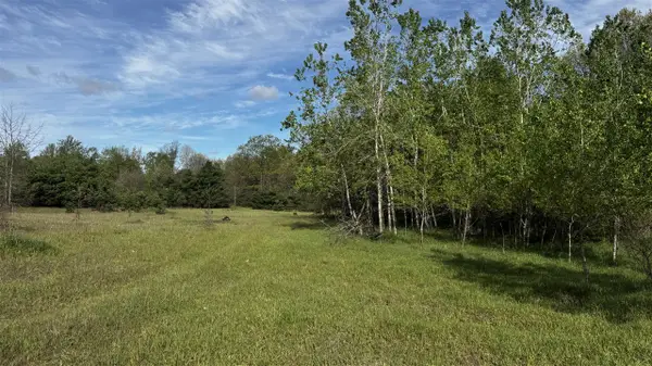 14771 180th, Stanwood, MI 49346