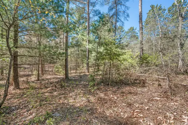 8.5 Acre V/l Three Mile, Hersey, MI 49639