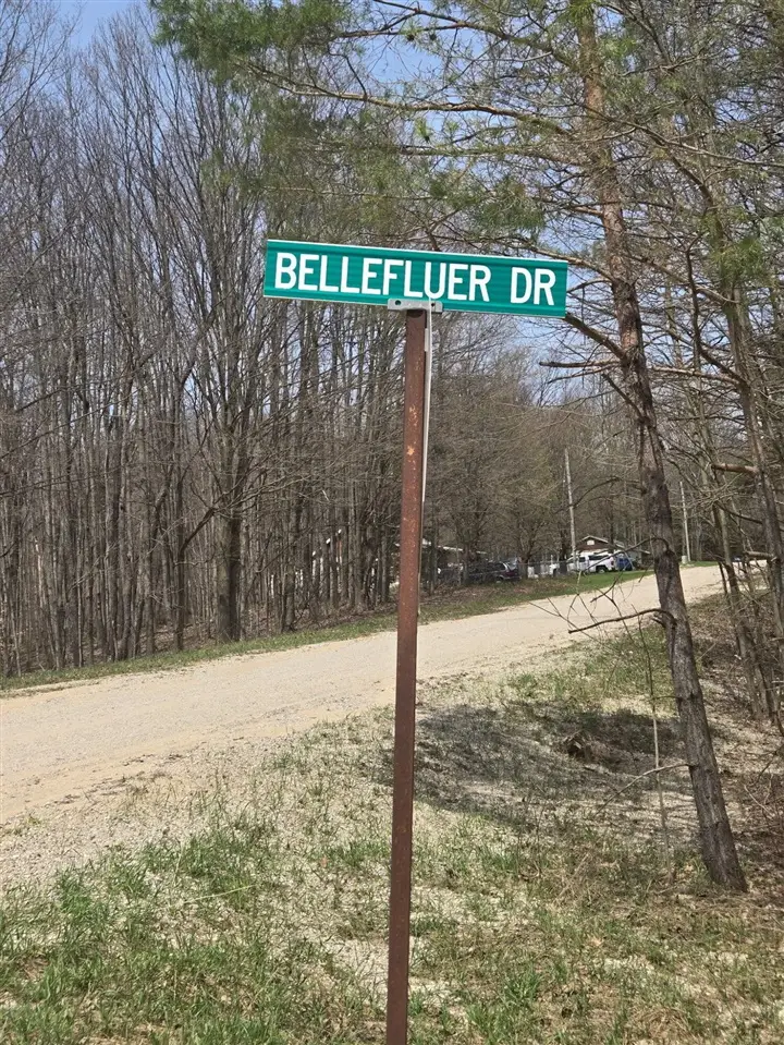 Bellefleur, Bear Lake, MI 49614 - #2