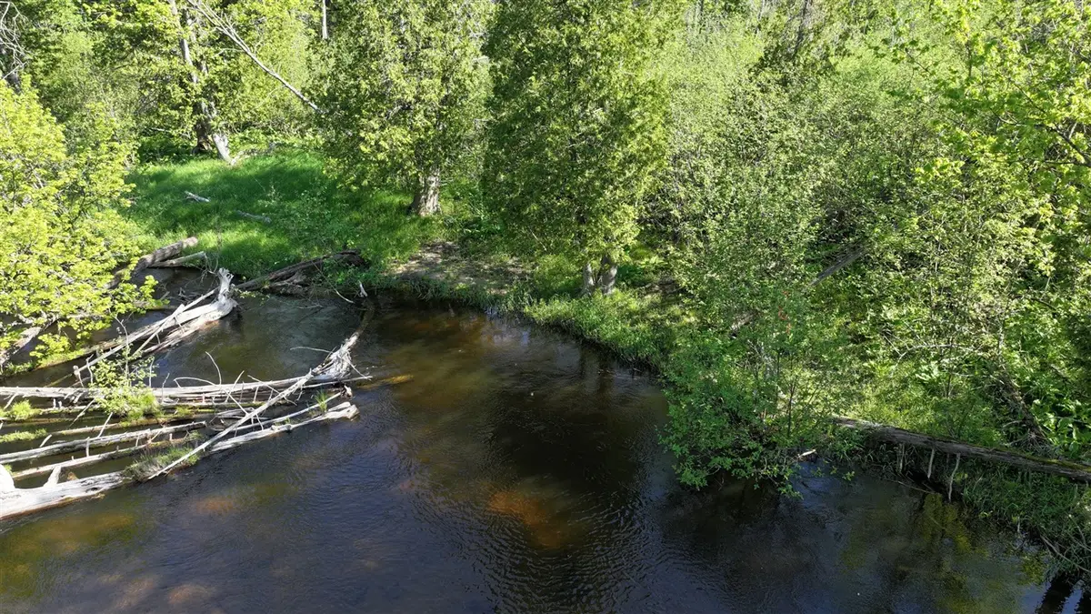 V/L E Pomeroy Springs, Irons, MI 49644 - #1