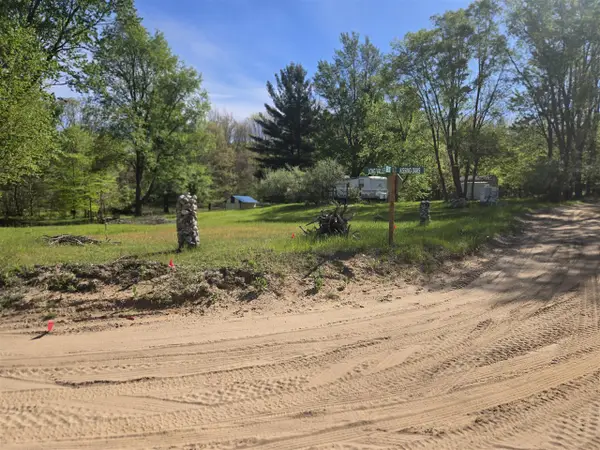 4568 E Deer Cove, Custer, MI 49405