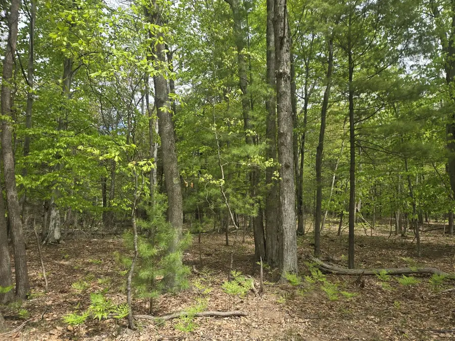 VL N Ridge, Mears, MI 49436 - #2