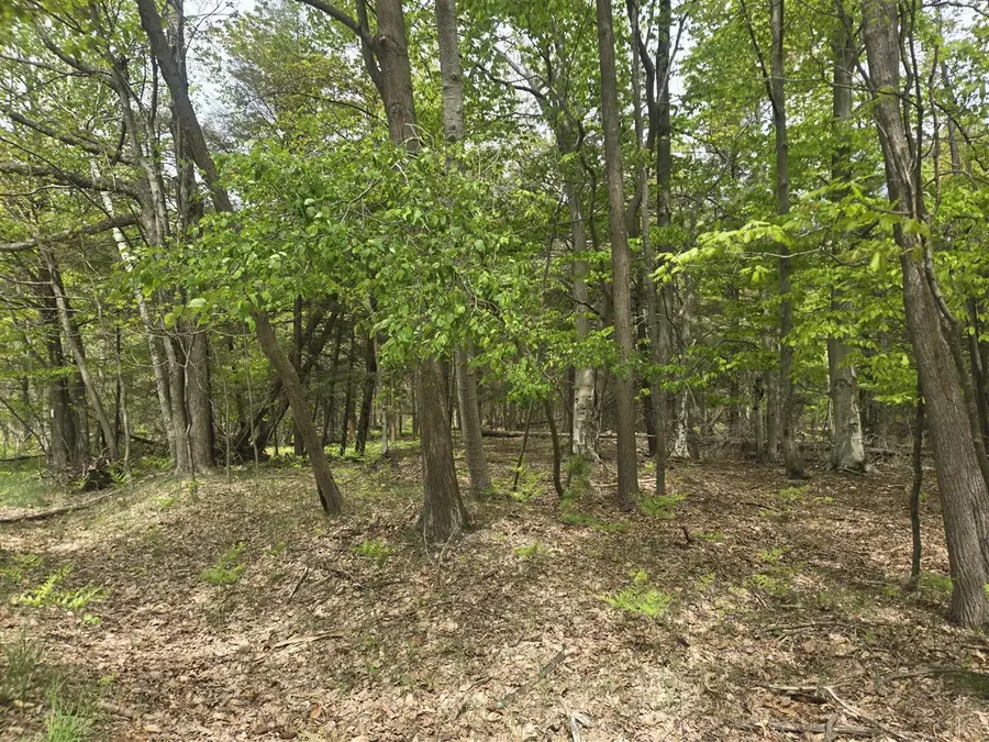 VL N Ridge, Mears, MI 49436 - #3
