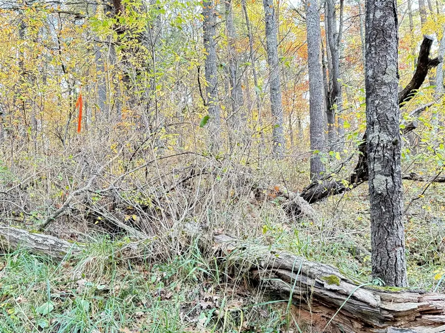 7.32AC E 58th, Newaygo, MI 49337 - #2
