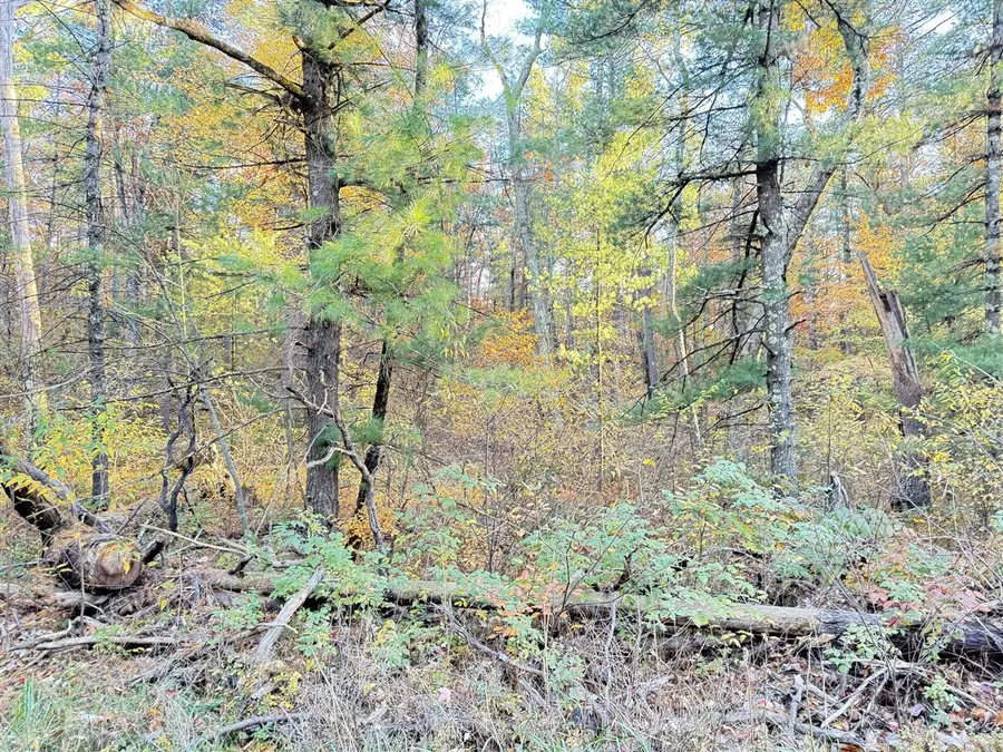 7.32AC E 58th, Newaygo, MI 49337 - #3