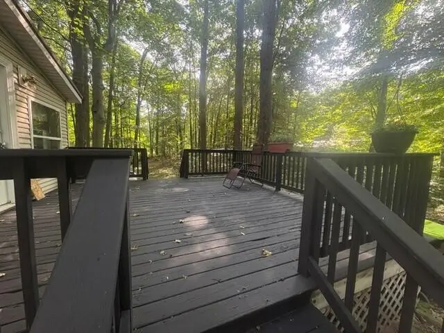 18412 Royena, Marion, MI 49665 - #2