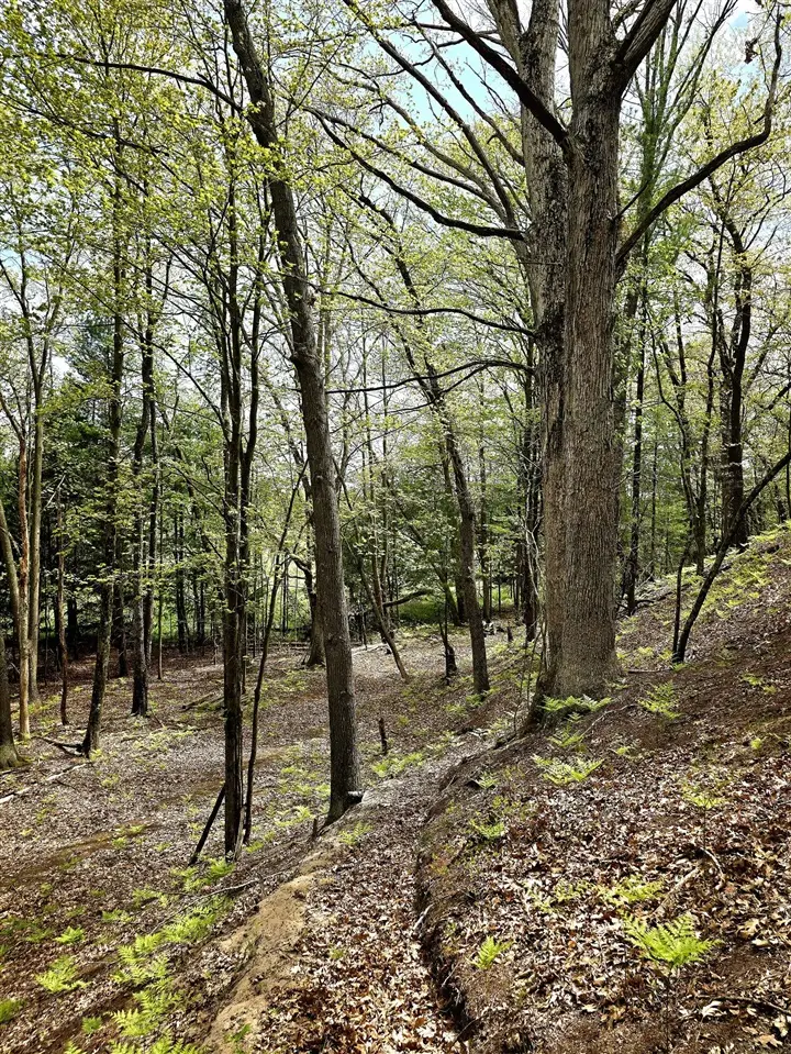 Topping Ave, Pentwater, MI 49449 - #3