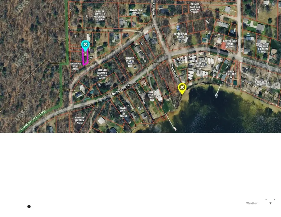 2471 W Wolf Lake, Baldwin, MI 49304 - #3