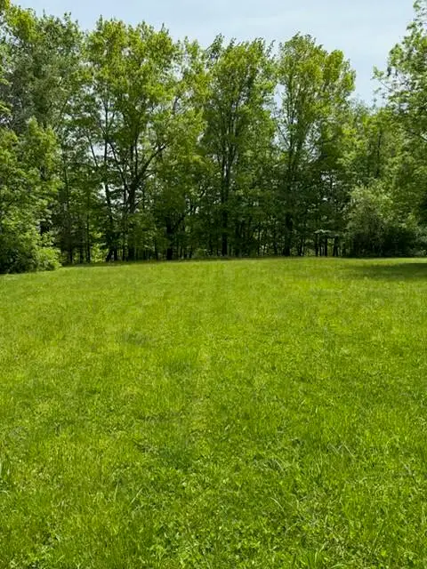0 Paw Paw, Watervliet, MI 49098 - #2
