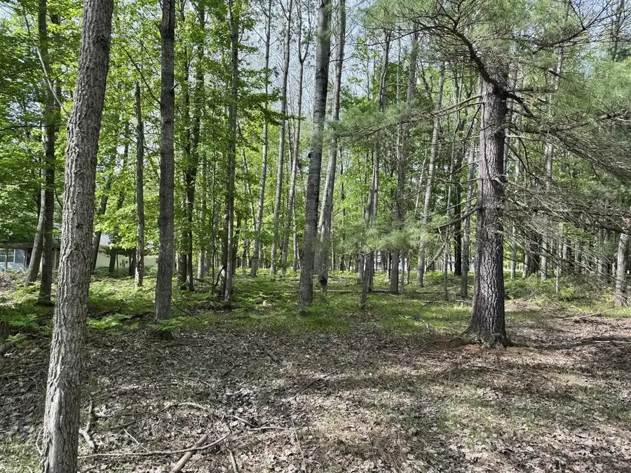 9368 Clubhouse, Canadian Lakes, MI 49346 - #2