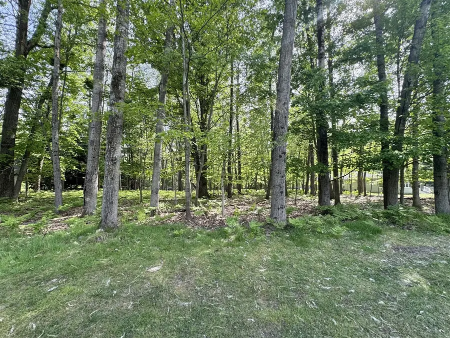 9368 Clubhouse, Canadian Lakes, MI 49346 - #3