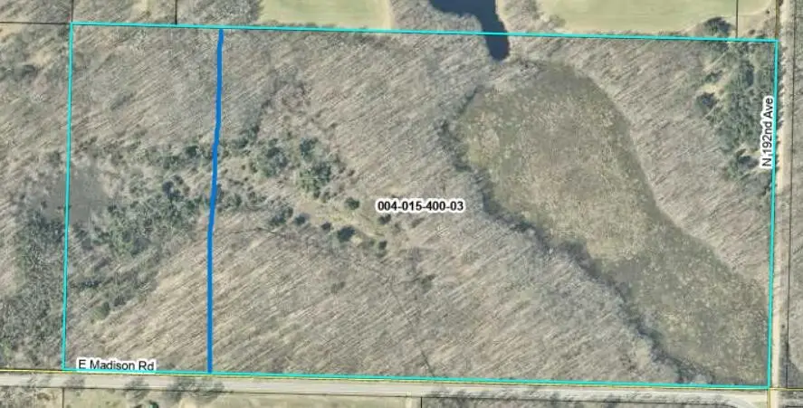 0 E Madison, Walkerville, MI 49459 - #2