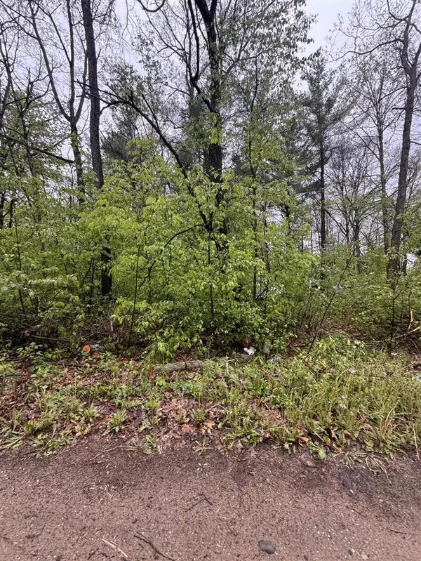 V/L Paw Paw, Howard City, MI 49329