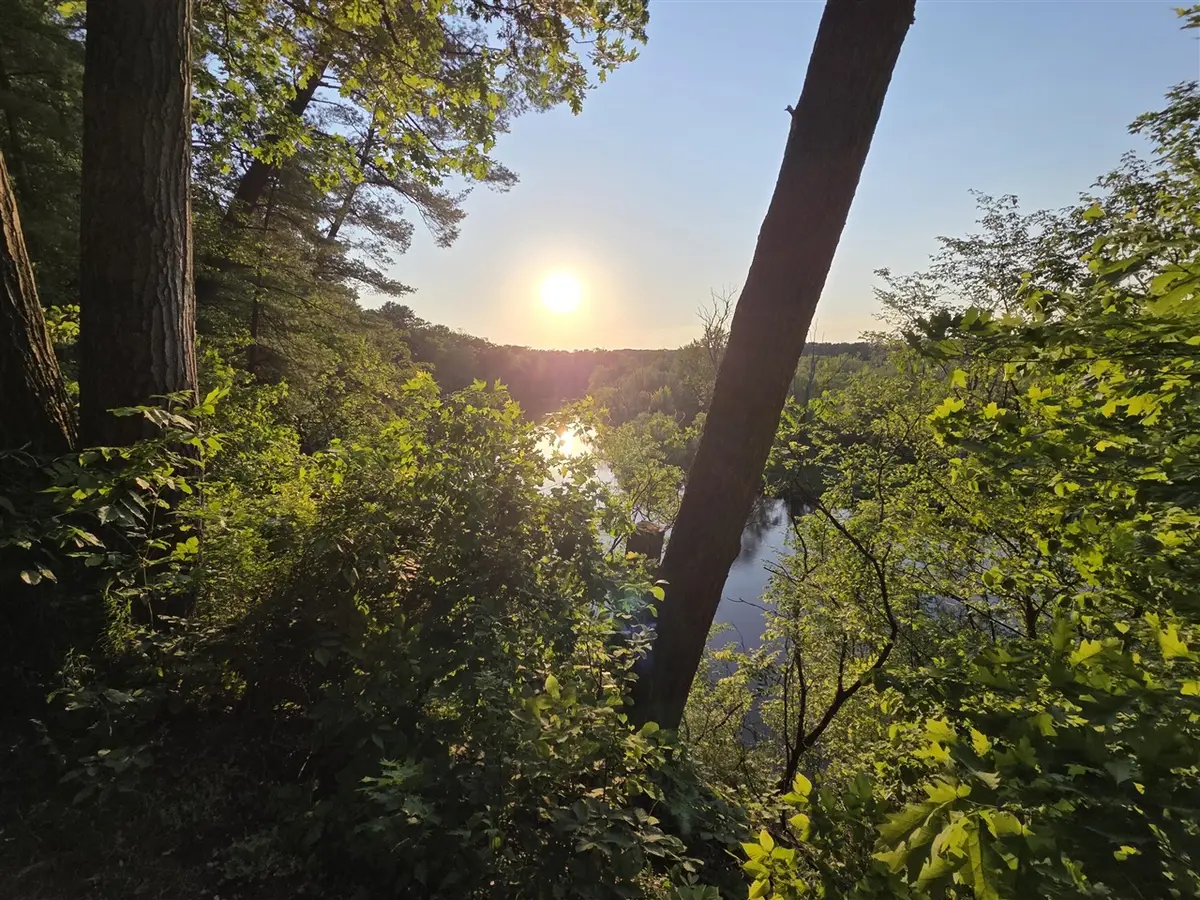 Turkey, Allegan, MI 49010 - #1