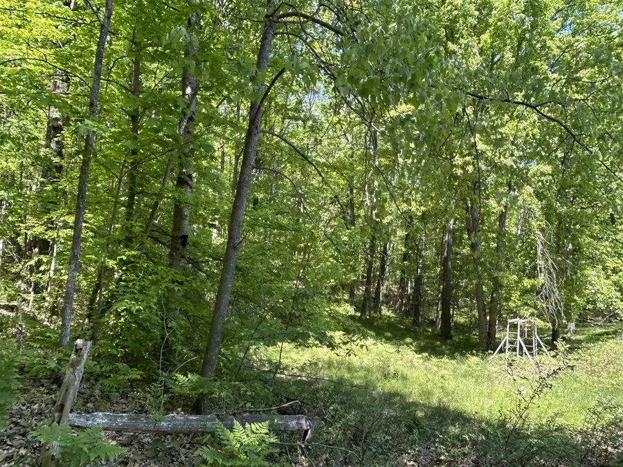 9800 Avenue C, Mecosta, MI 49332 - #2