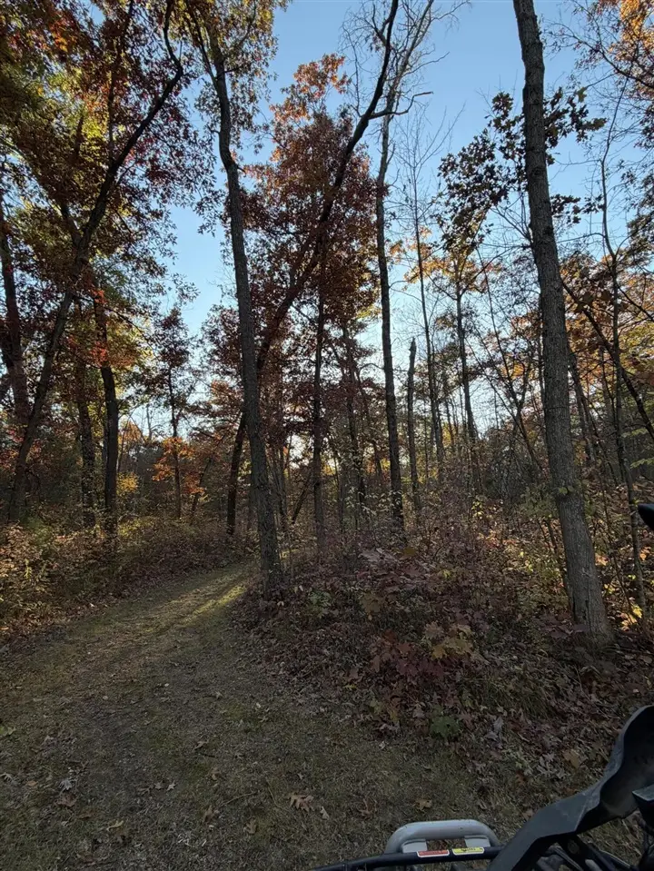 V/L N Tamarack, Howard City, MI 49329 - #1