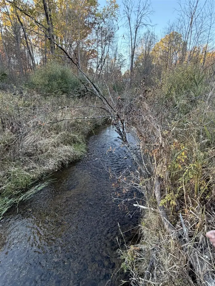 V/L N Tamarack, Howard City, MI 49329 - #2