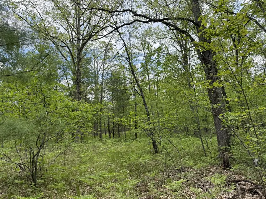 Harris, Wellston, MI 49689 - #3