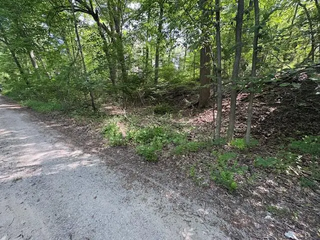 19343 Ravine, New Buffalo, MI 49117 - #1