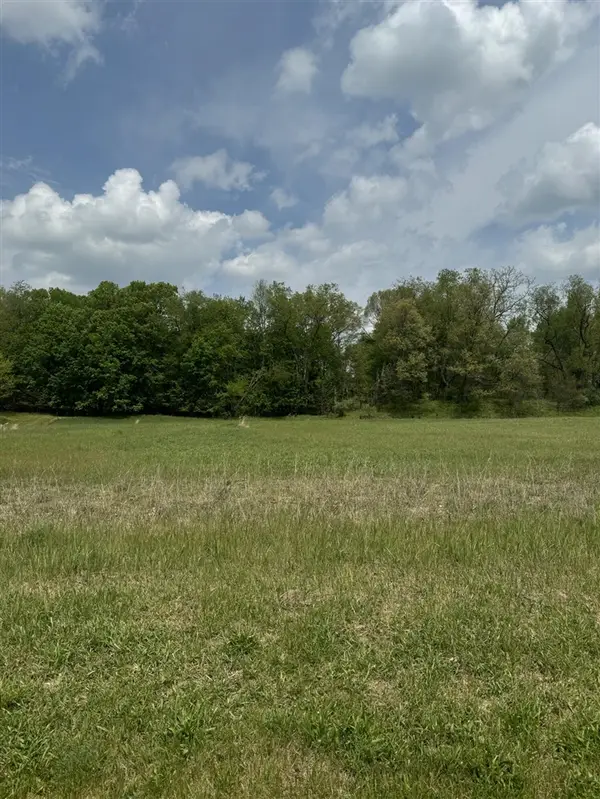 8265 Sunset, Alto, MI 49302