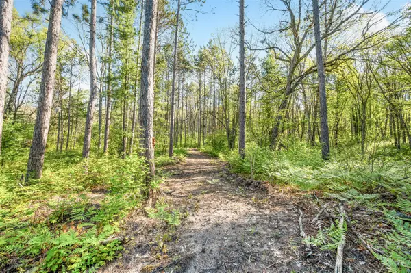 V/L Nelson St, Baldwin, MI 49304
