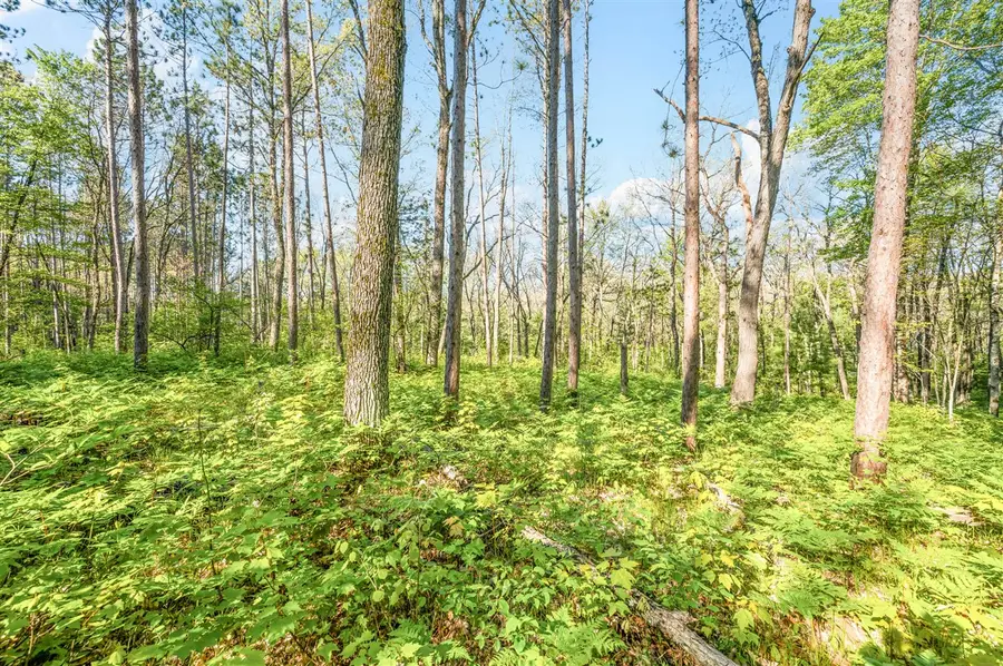 V/L Nelson St, Baldwin, MI 49304 - #3