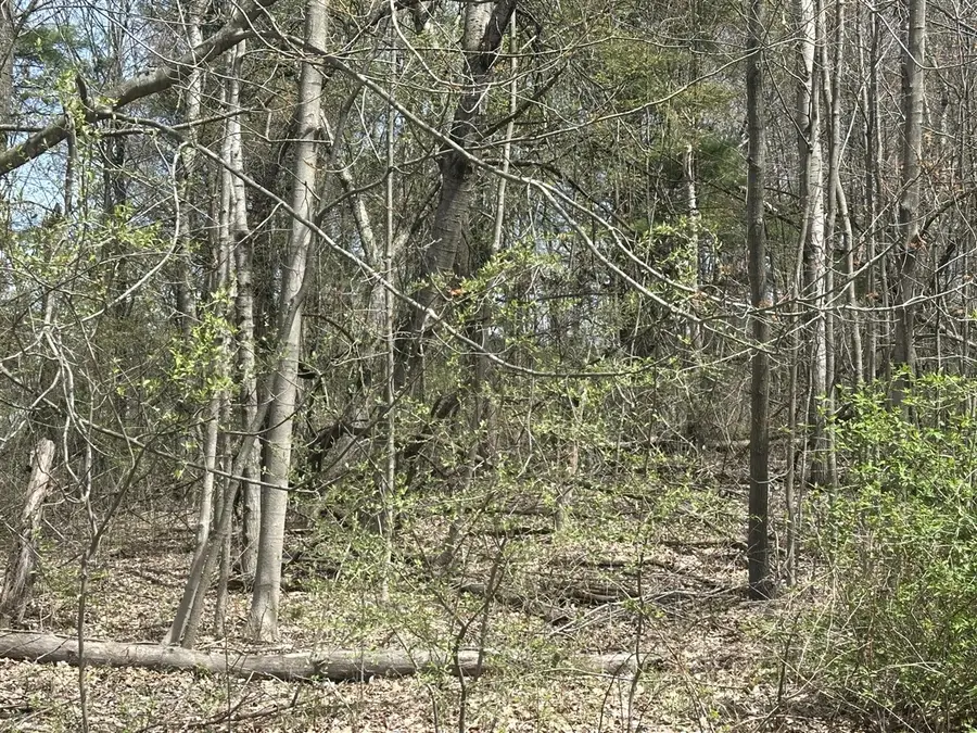 Atkins, Clyde, MI 48049 - #3
