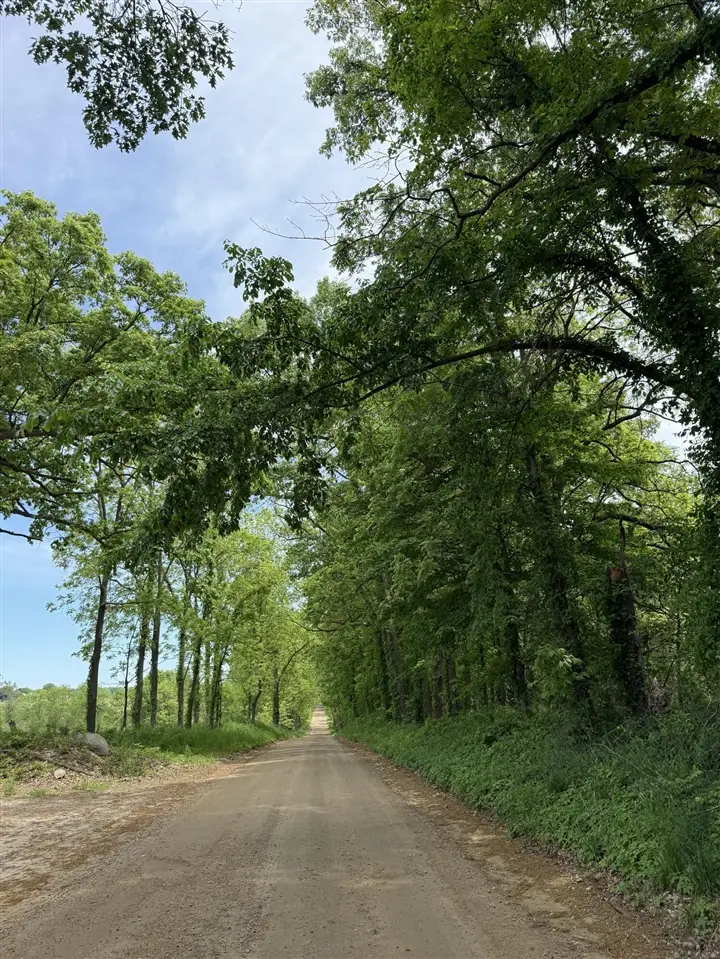 25500 U, Homer, MI 49245 - #1