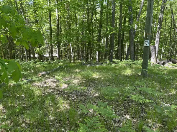 8297 Highland, Canadian Lakes, MI 49346