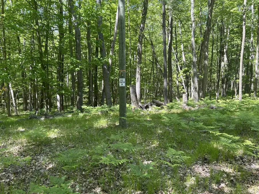 8297 Highland, Canadian Lakes, MI 49346 - #2