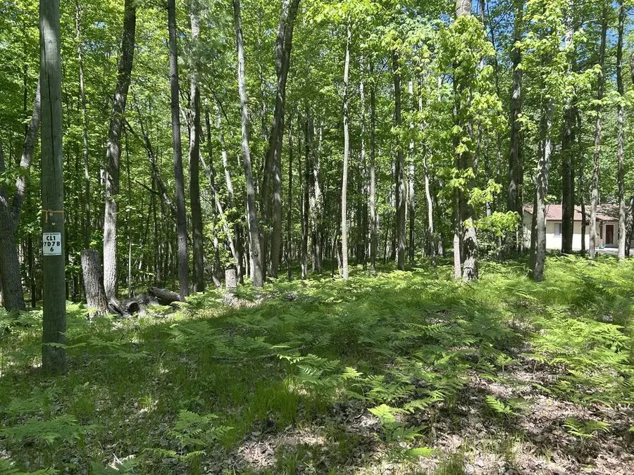 8297 Highland, Canadian Lakes, MI 49346 - #3