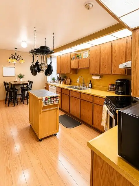 1031 N Newaygo, Bailey, MI 49303 - #3