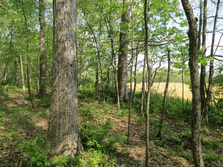 S Stoney Lake, Jackson, MI 49201 - #2