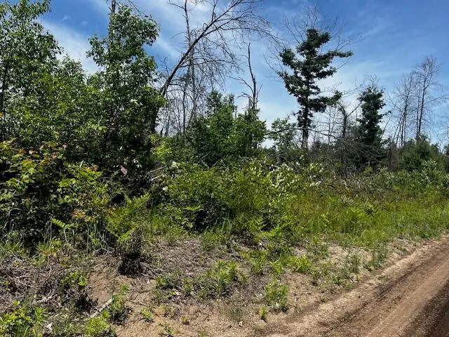 Parcel 3 Nelson, Idlewild, MI 49642 - #1