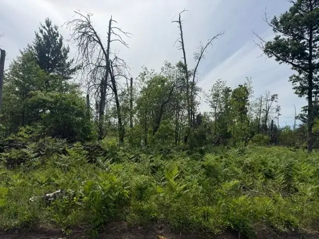 Parcel 3 Nelson, Idlewild, MI 49642 - #2