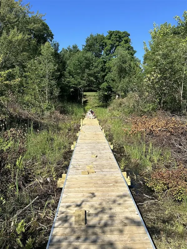 6081 Terry, Six Lakes, MI 48886
