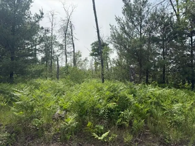 Parcel 2 Nelson, Idlewild, MI 49642 - #2