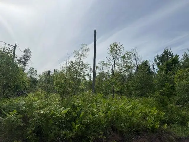 Parcel 2 Nelson, Idlewild, MI 49642 - #3