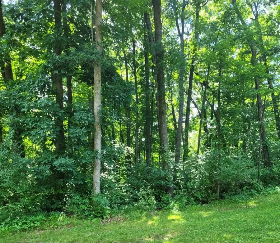 11839 Vicary, Jerome, MI 49249 - #2