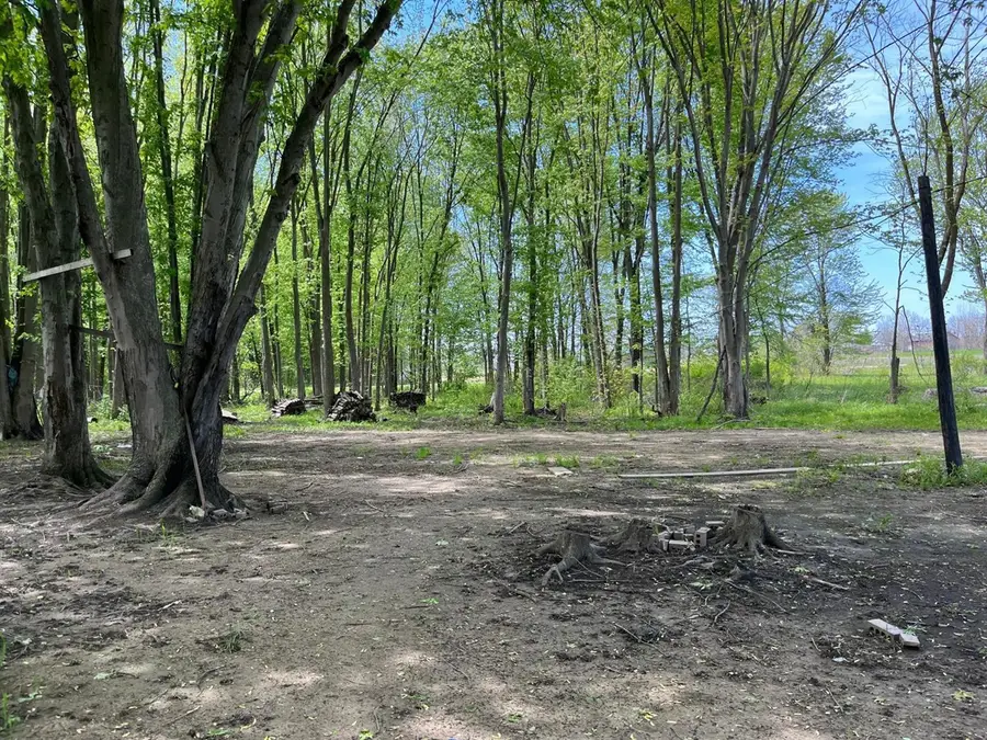 V/L 146th, Byron Center, MI 49315 - #3