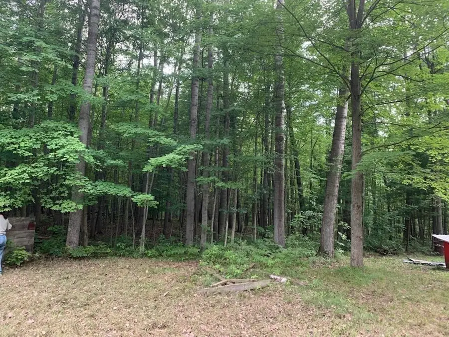 12191 Timber, Rodney, MI 49342 - #3