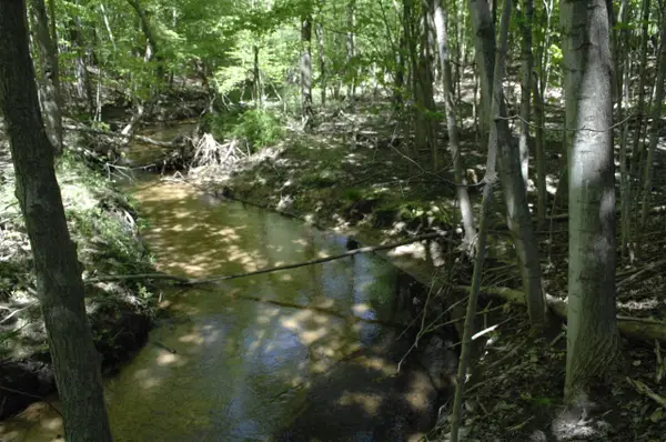 W Marshville Dam, Shelby, MI 49455