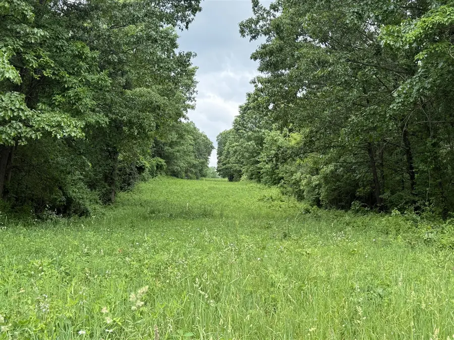 VL 28 Mile, Albion, MI 49224 - #2