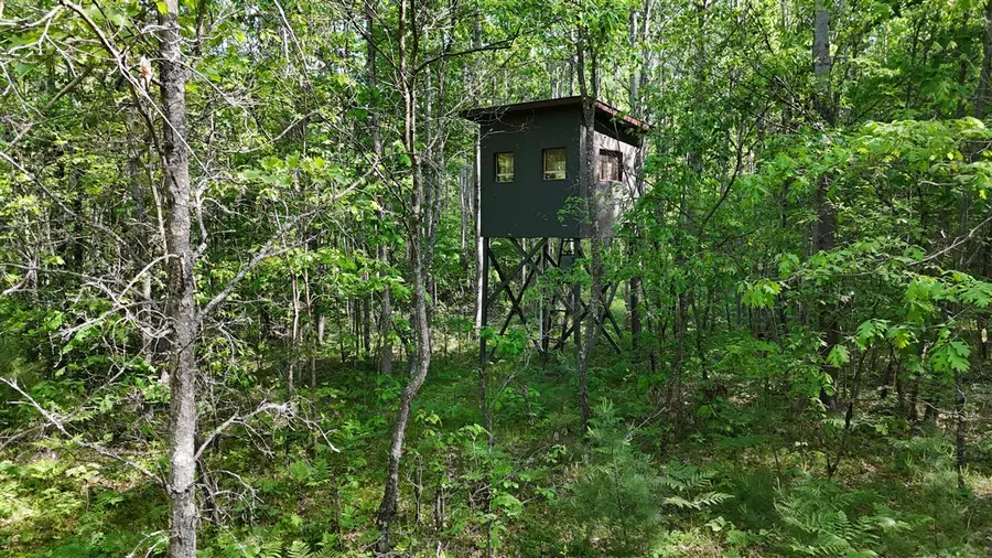 W 7 Mile, Irons, MI 49644 - #3