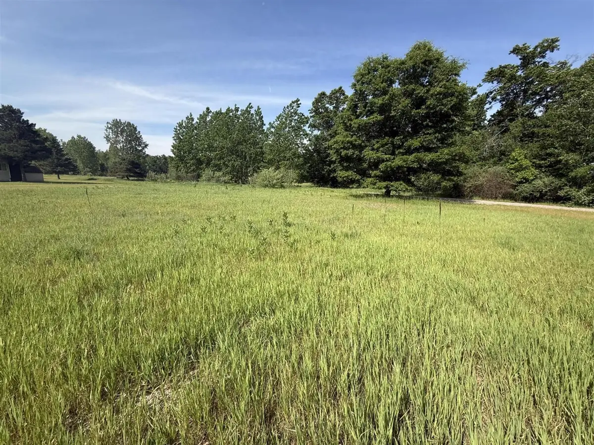 W Royal, Stanwood, MI 49346 - #1