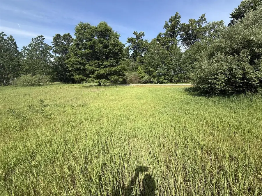 W Royal, Stanwood, MI 49346 - #3