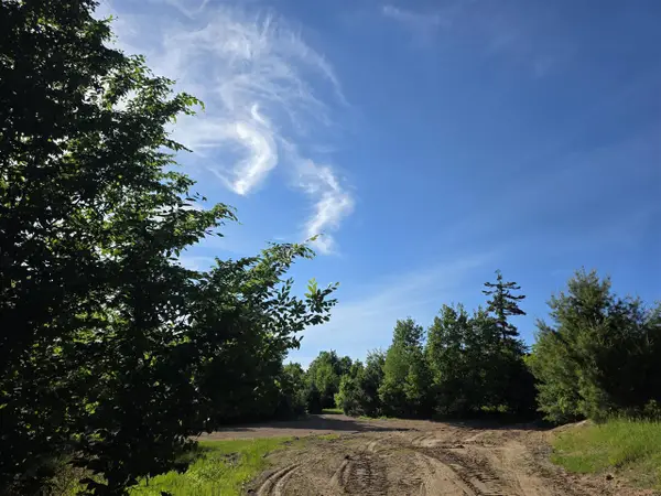 10348 E Starlight Ridge, Onekama, MI 49675
