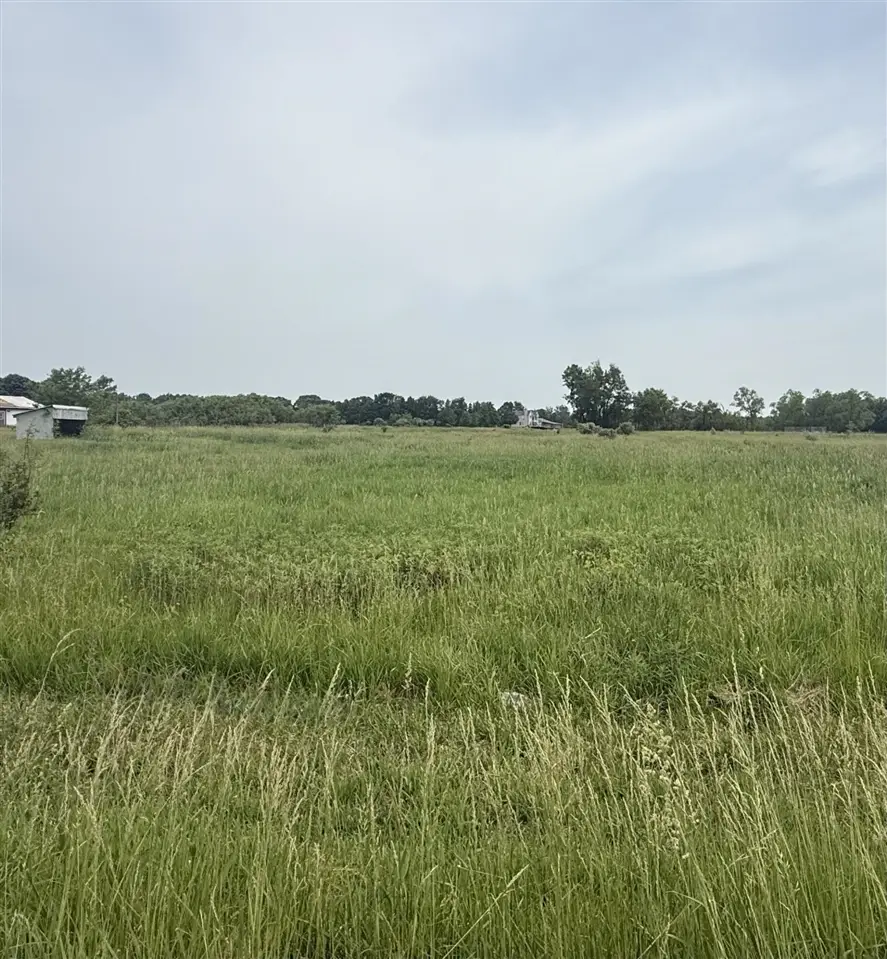 V/l Miller, Buchanan, MI 49107 - #2