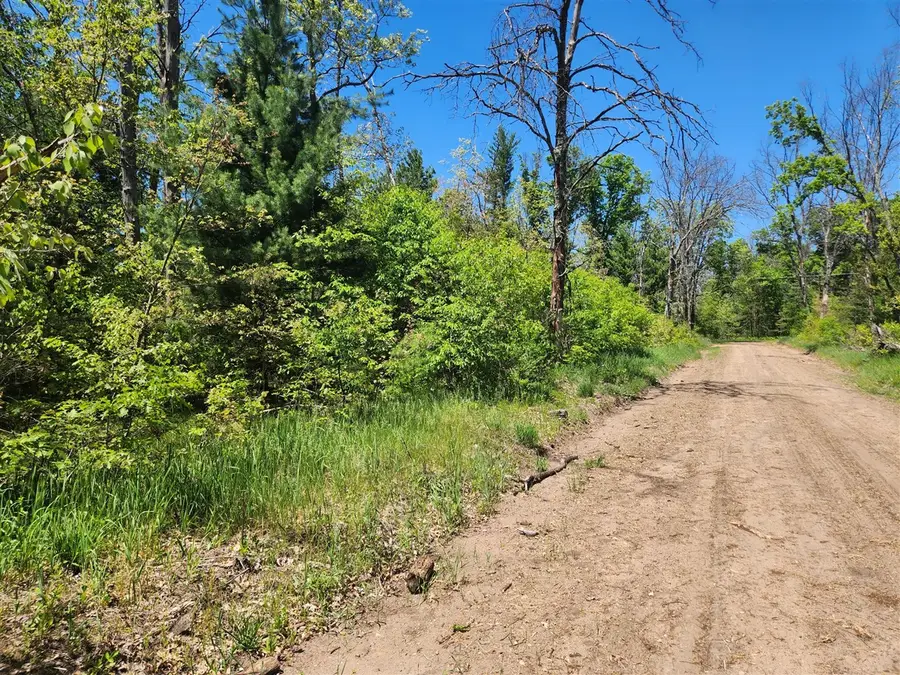 VL S Delaware, Baldwin, MI 49304 - #2