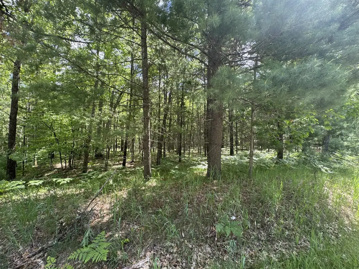 2830 W Pierce, Brohman, MI 49312 - #1